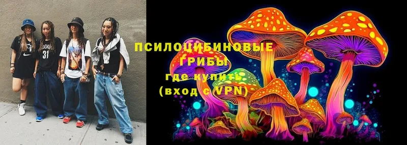 площадка наркотические препараты  Калининск  Псилоцибиновые грибы MAGIC MUSHROOMS 